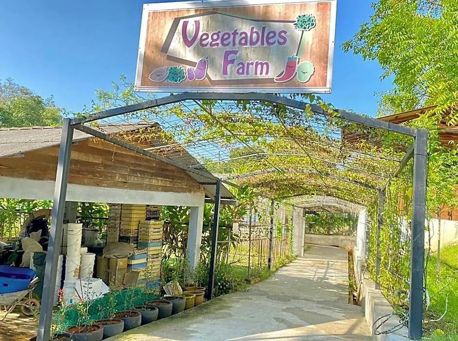 Refarm-1