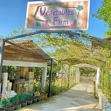 Refarm-3